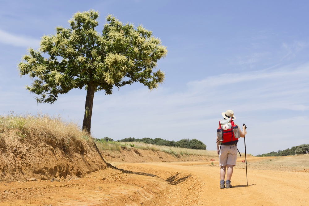 Tre obiettivi per riprendere il cammino